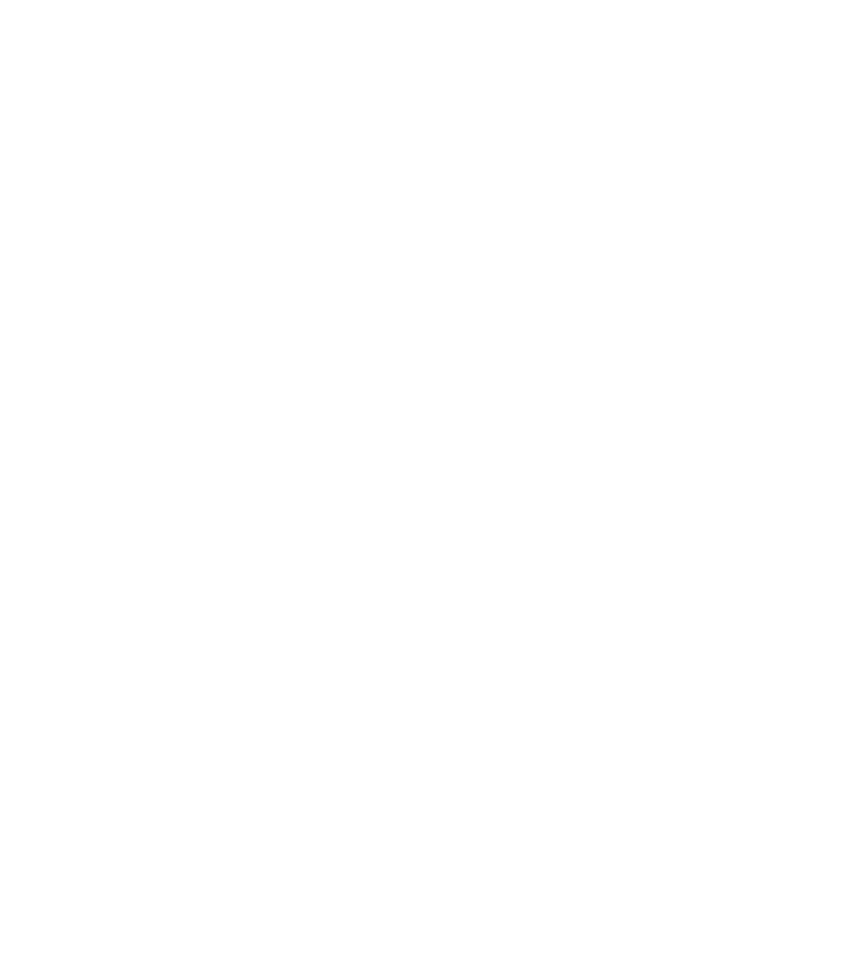 Bridge CARE