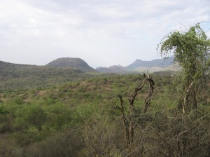 Chinnar Wildlife Sanctuary