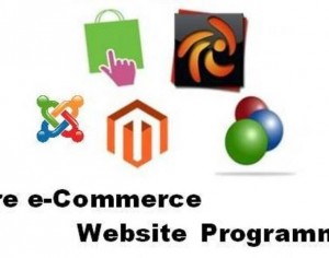 hire ecommerce developers1