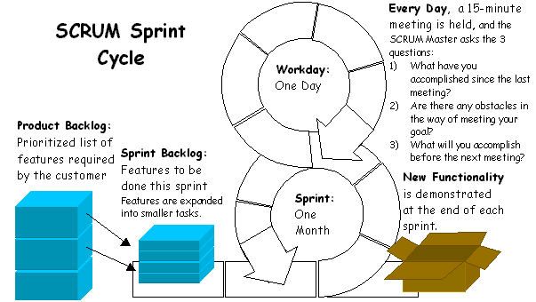 Scrum cycle
