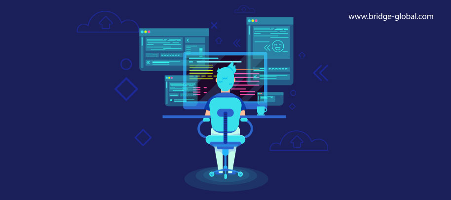 Why life cycle demands professional programmers instead of students