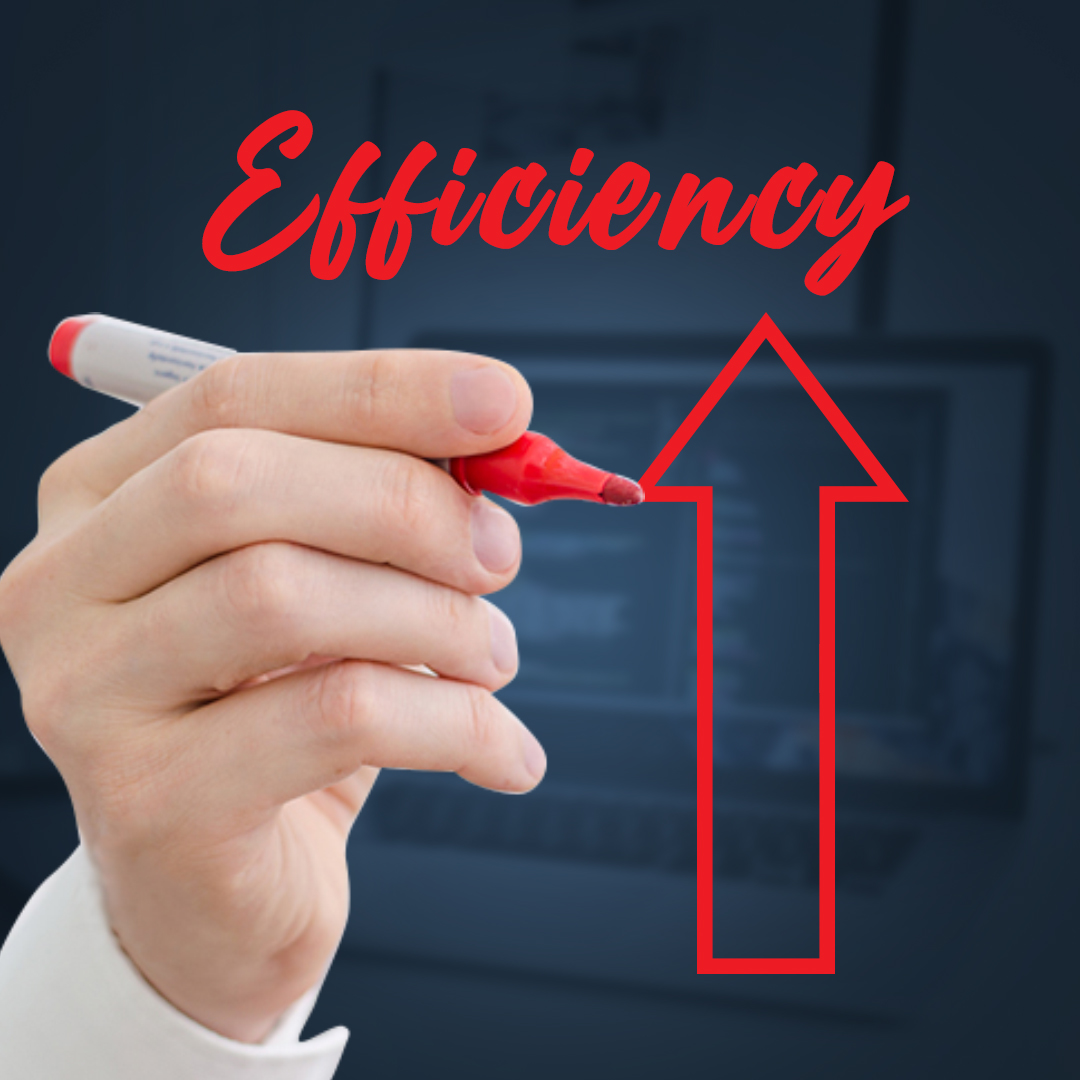 Custom software improved organizational efficiency