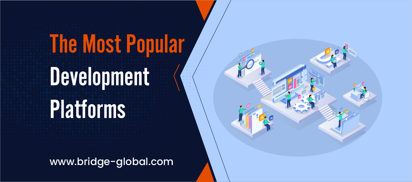 Best Developer Platforms | Bridge Global BLOG