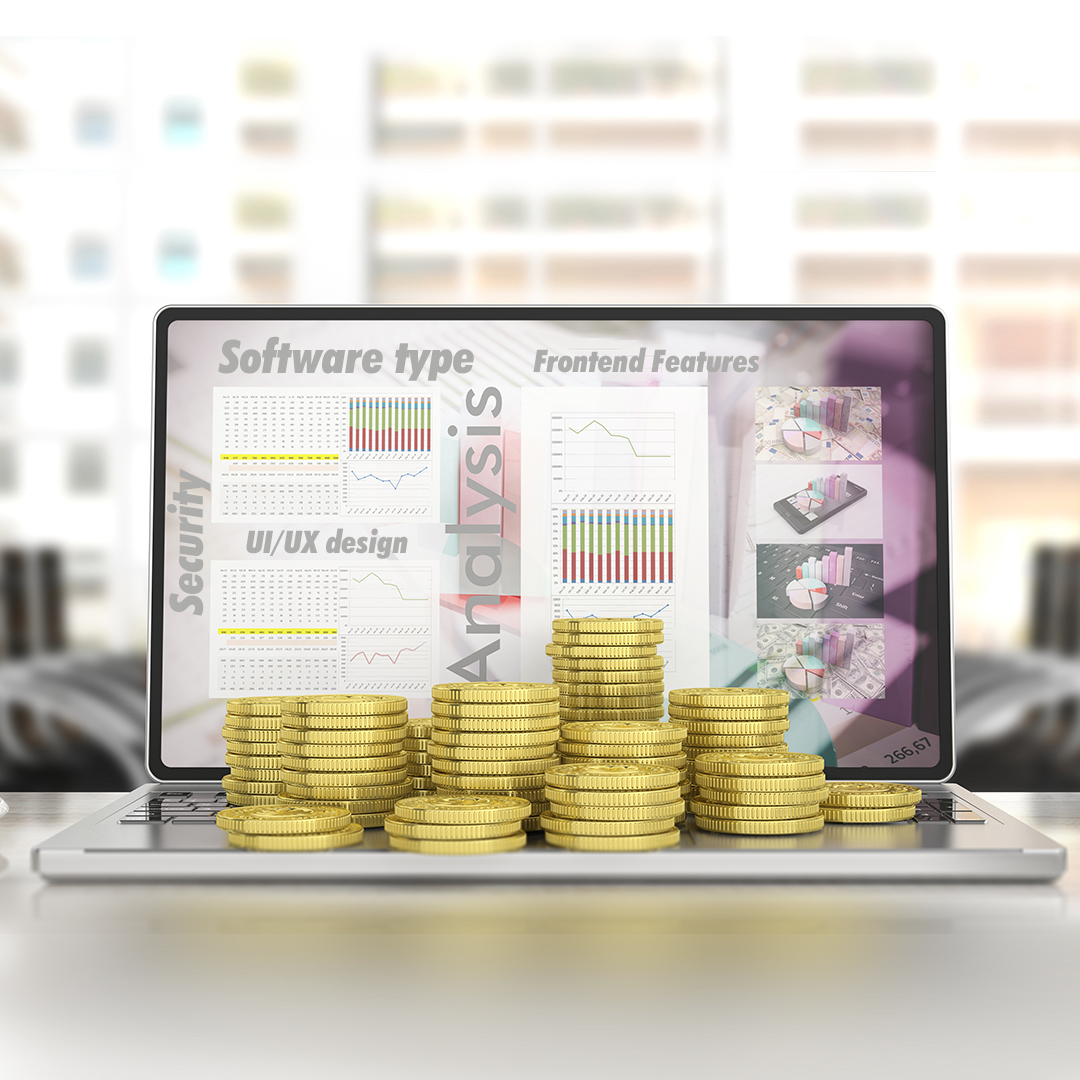 Factors Influencing Existing Custom Software Budget- software budget planning