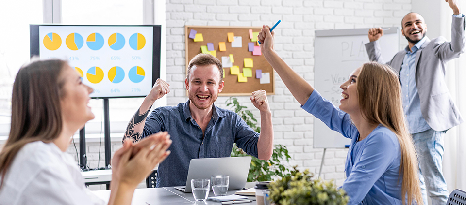 Driving Software Project Success Through Strategic Design Solution Architect - Driving Software Project Success Through Strategic Design