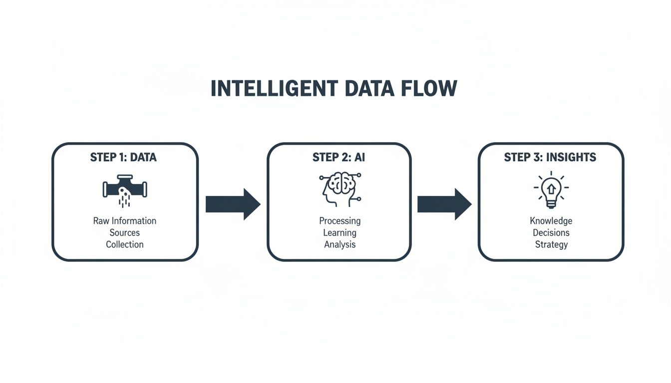 Diagram illustrating an intelligent data flow from raw information collection to AI processing and insights for decisions.