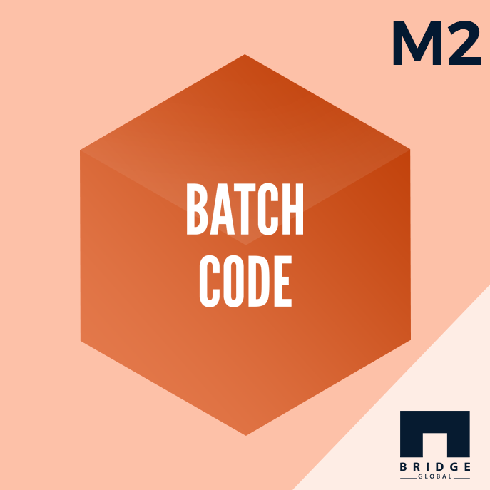 Magento 2 Batch Code Extensions -Bridge Store