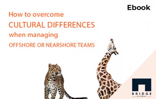 How to Overcome Cultural Differences When Managing Offshore or ...