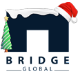 Bridge Global - Custom Software Development Company United States