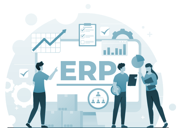 ERP Software Services Company US