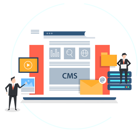 .net CMS Development Services Company US